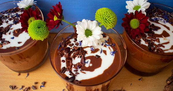 Double Cacao Chia Pudding Recipe | Elements for Life