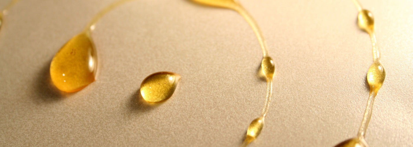 Raw Honey Chocolates