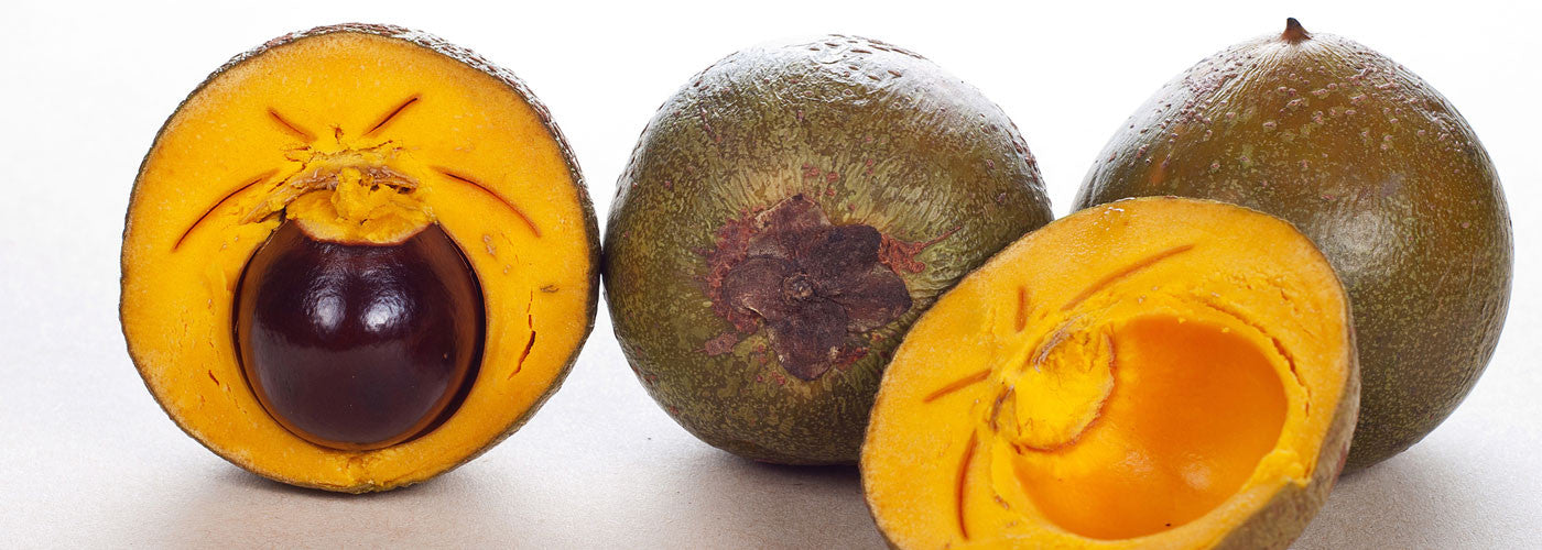 Lucuma - Gold of the Incas