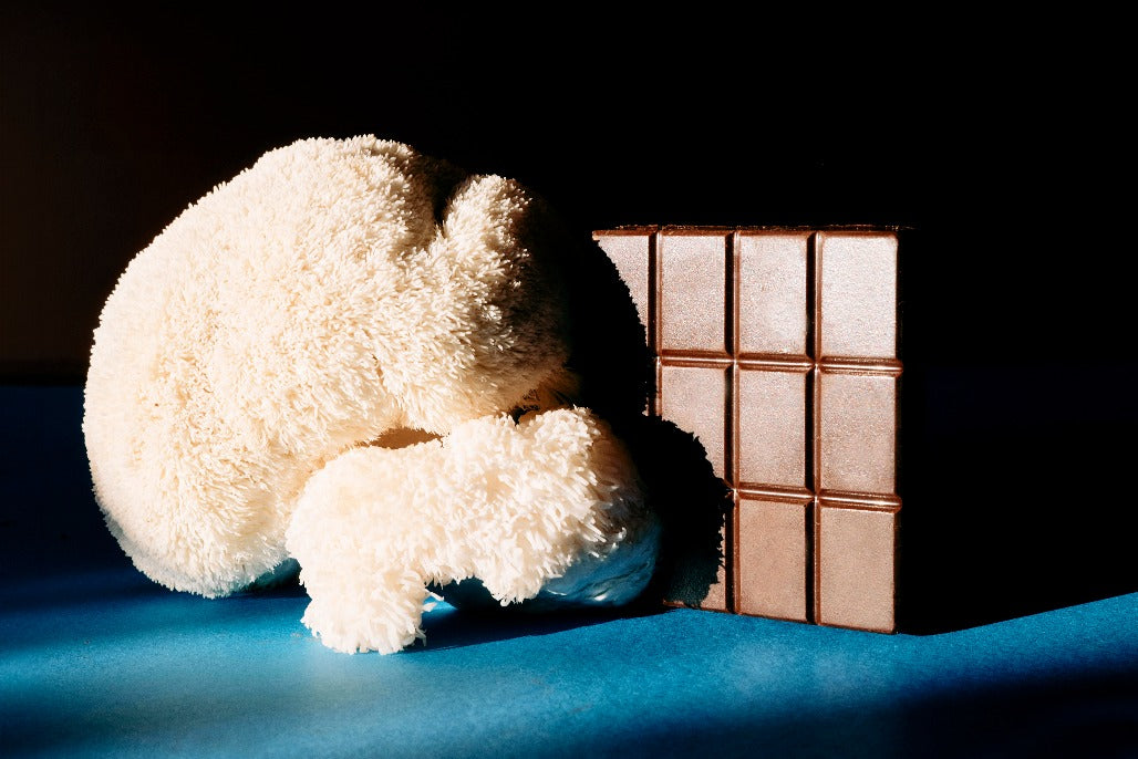Luma_Mushroom_Chocolate_Lions Mane_Focus_01 1028x686