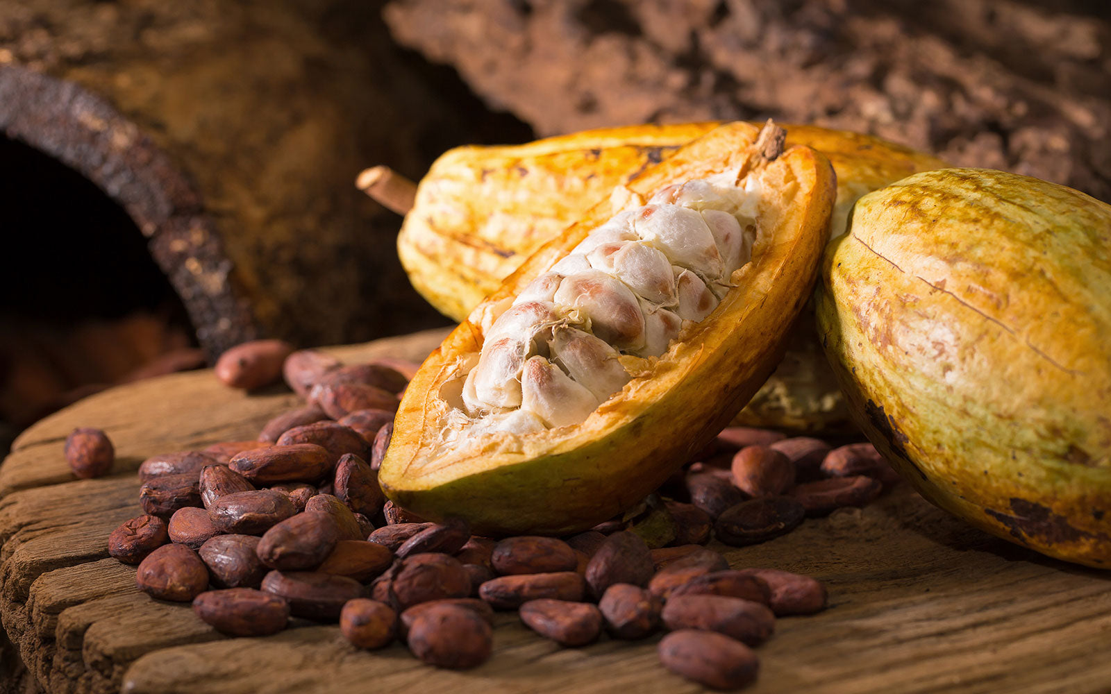 cacao pods and beans