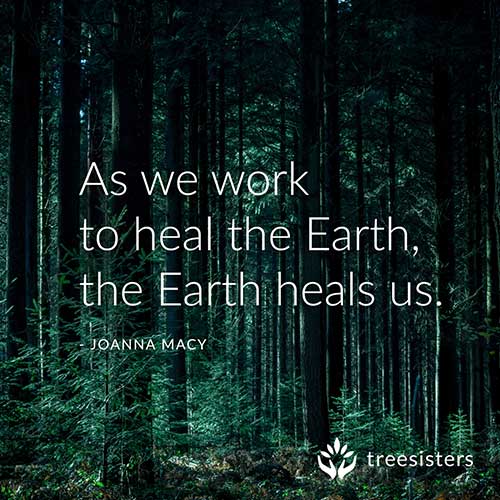 as we work to heal the earth the earth heals us