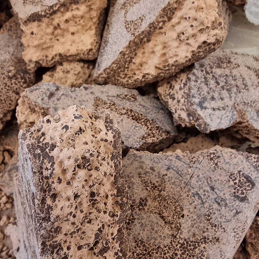 serendipity ceremonial cacao