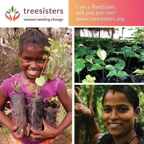 treesisters square image