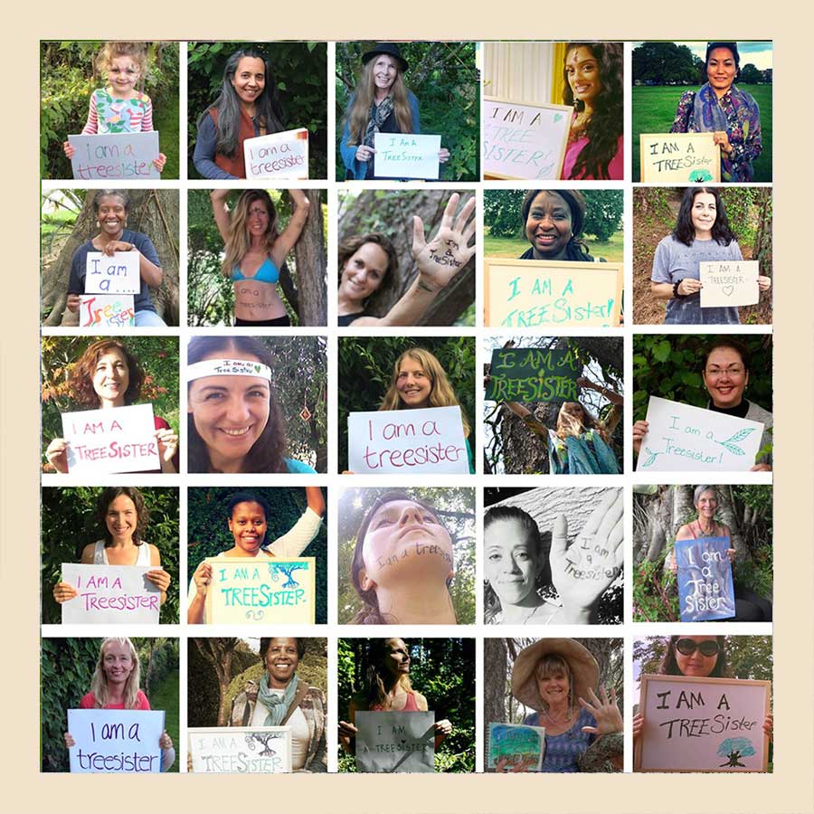 i am a treesister collage