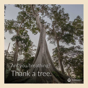 are you breathing? thank a tree