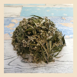 mugwort herbal tea made from loose leaves and flowers