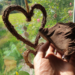 criollo cacao paste and heart in sunny window